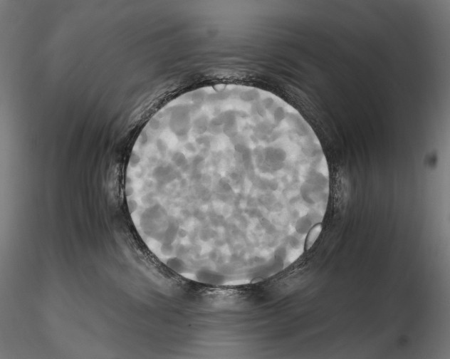 X0000114700428200912021112