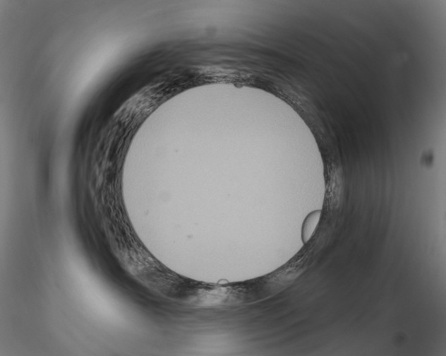 X0000114700430200912021112