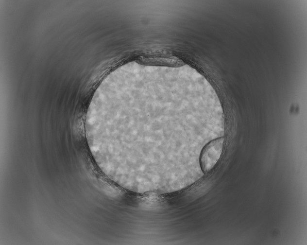 X0000114700432200912021112