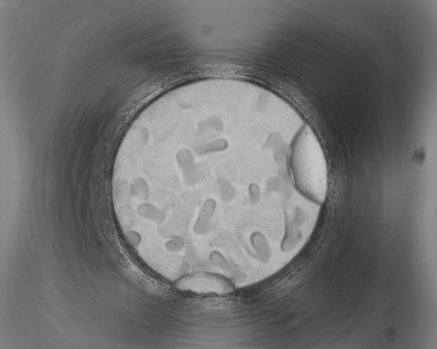 X0000114700433200912021111