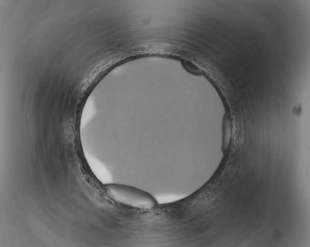 X0000114700434200912021111