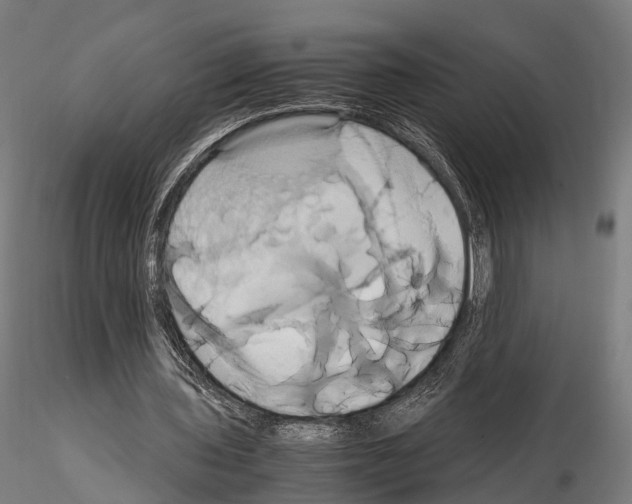 X0000114700435200912021111