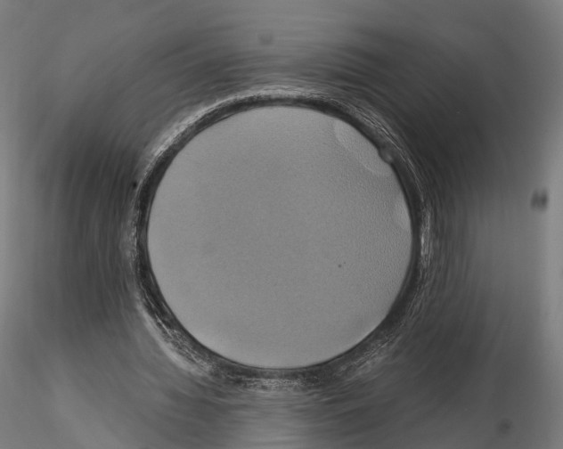 X0000114700436200912021111