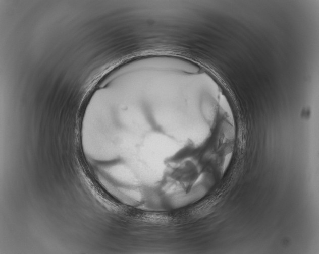 X0000114700437200912021111