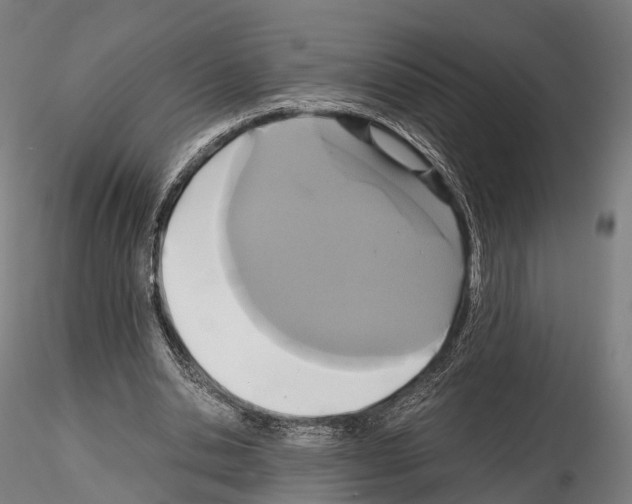 X0000114700438200912021111