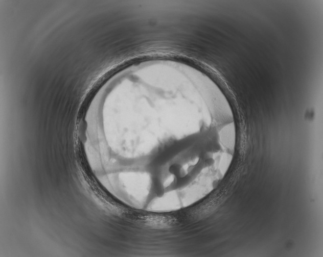 X0000114700439200912021111