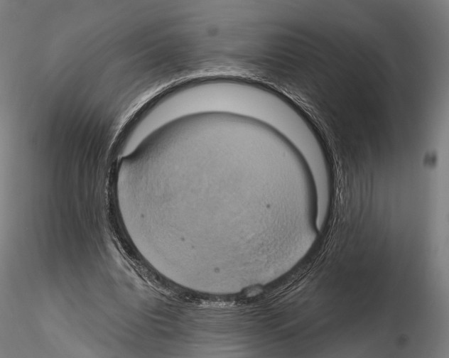 X0000114700440200912021111