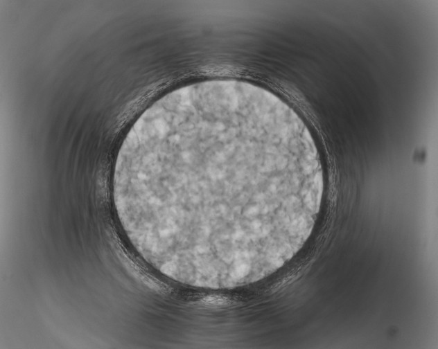 X0000114700441200912021111