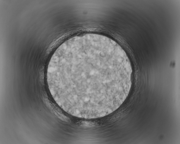 X0000114700442200912021111