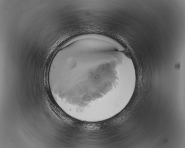 X0000114700443200912021111