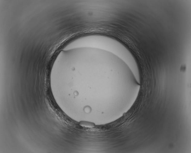 X0000114700444200912021111