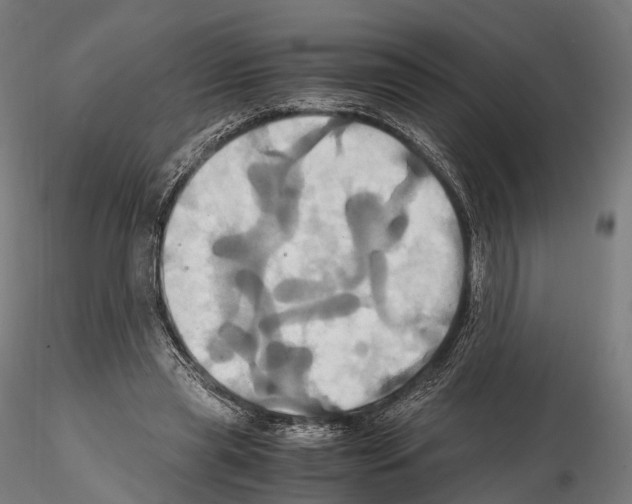 X0000114700445200912021111