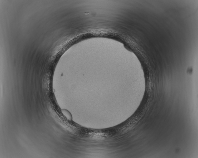 X0000114700448200912021111