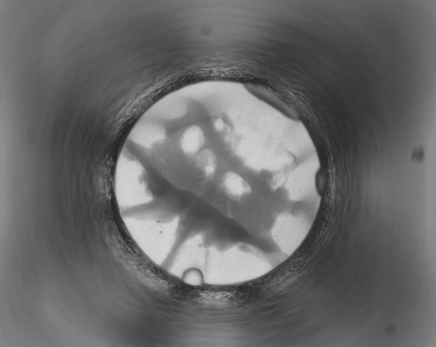 X0000114700450200912021111