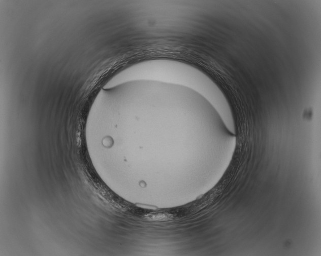 X0000114700452200912021111