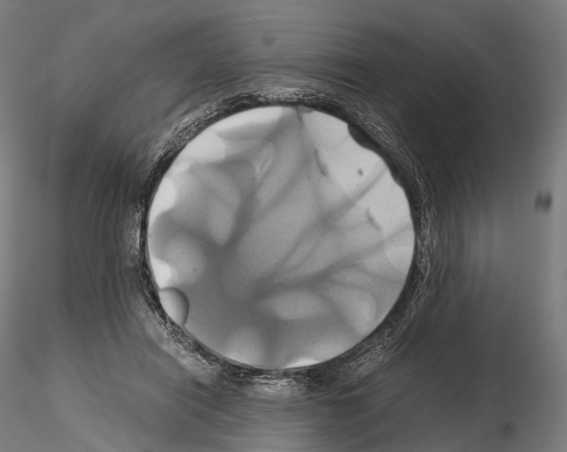 X0000114700454200912021111