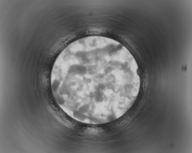 X0000114700455200912021111