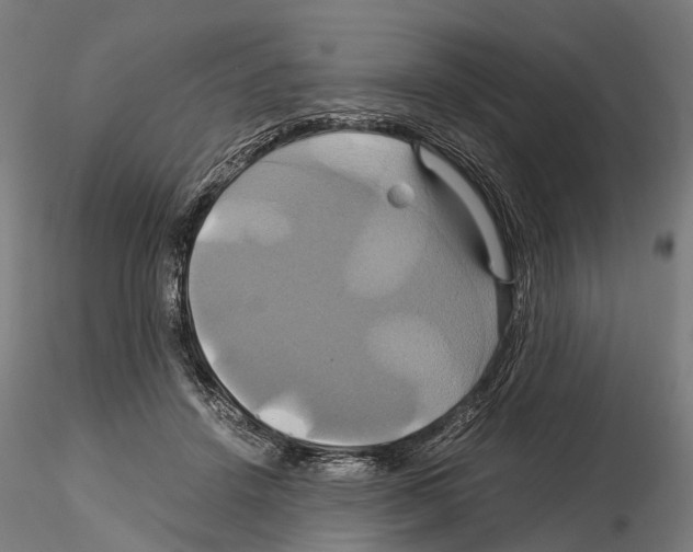 X0000114700456200912021111