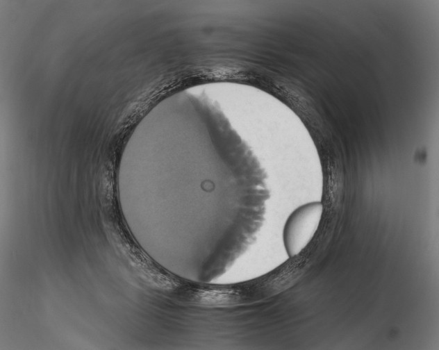 X0000114700461200912021112