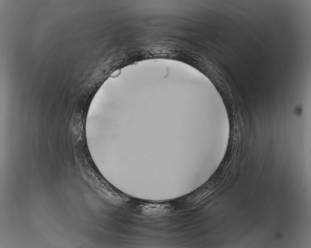 X0000114700465200912021112