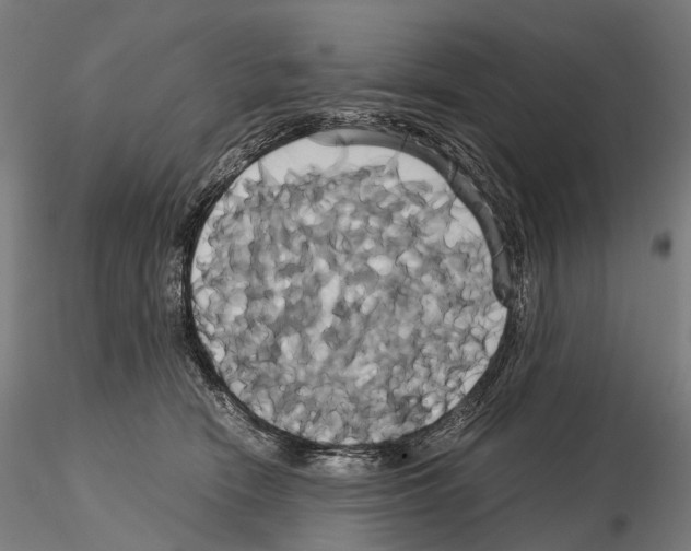 X0000114700466200912021112