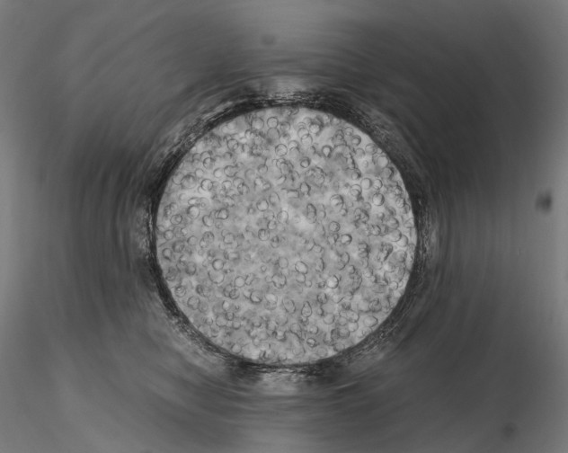 X0000114700470200912021112