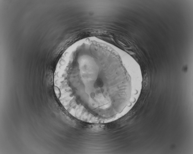 X0000114700474200912021112