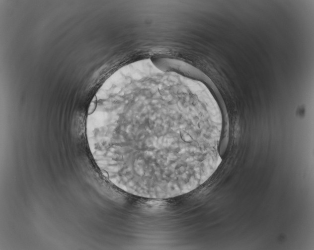 X0000114700478200912021112