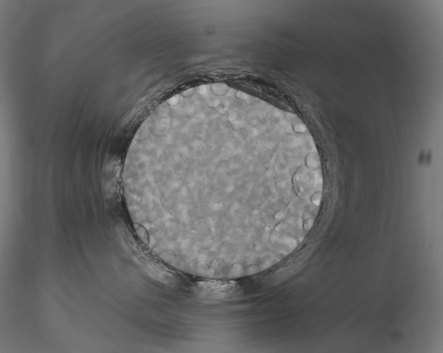 X0000114700480200912021112