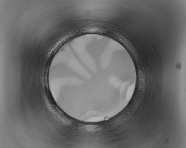 X0000114700482200912021111