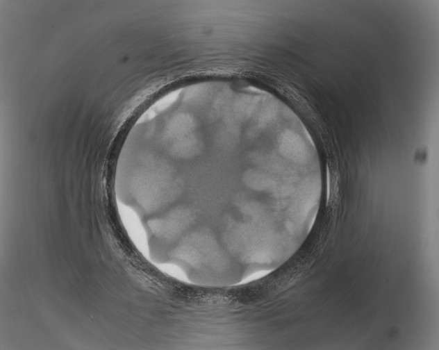 X0000114700483200912021111