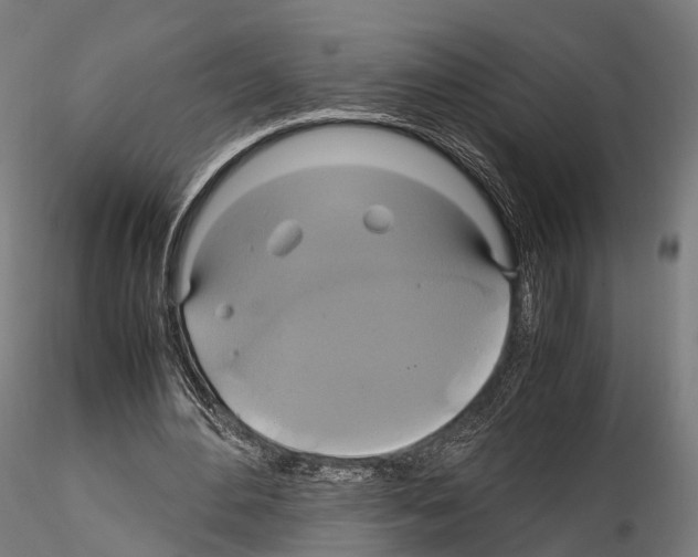 X0000114700484200912021111