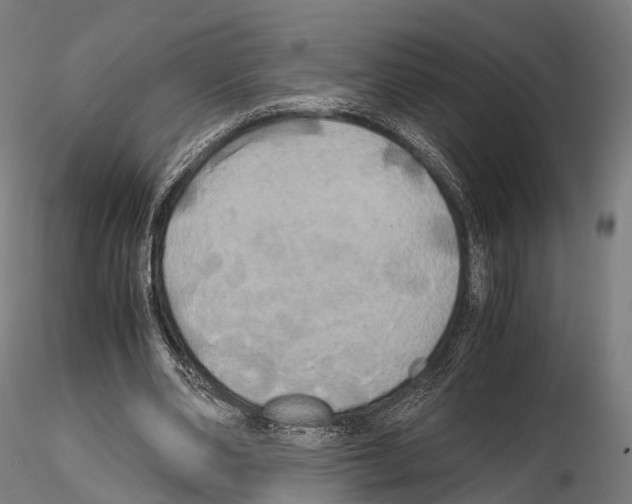 X0000114700486200912021111