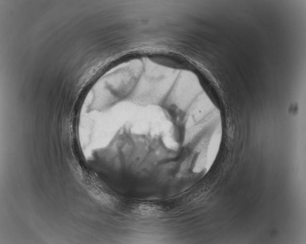 X0000114700487200912021111