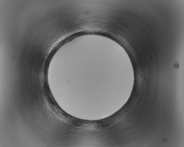 X0000114700488200912021111