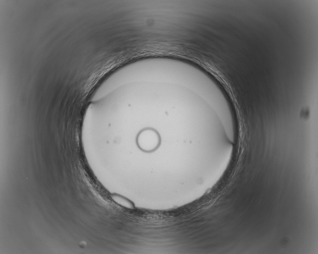 X0000114700489200912021111