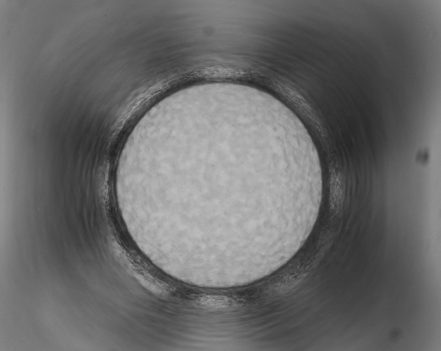 X0000114700490200912021111