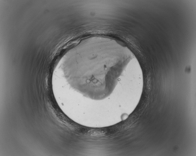 X0000114700491200912021111