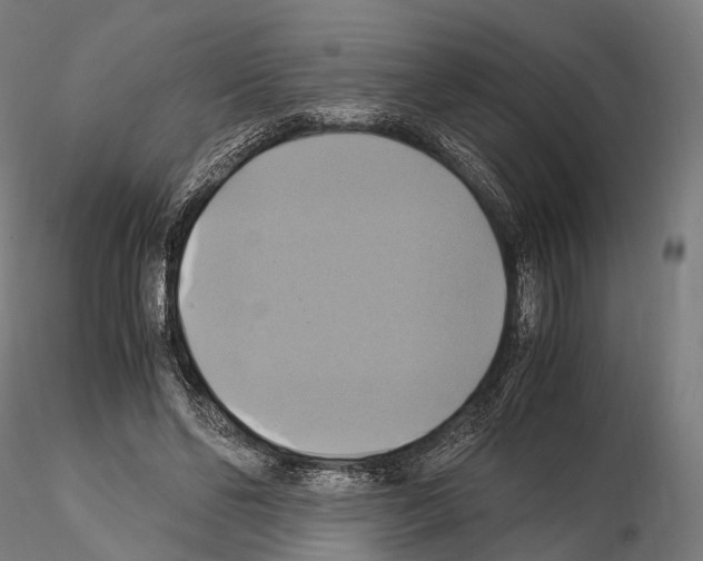 X0000114700494200912021111