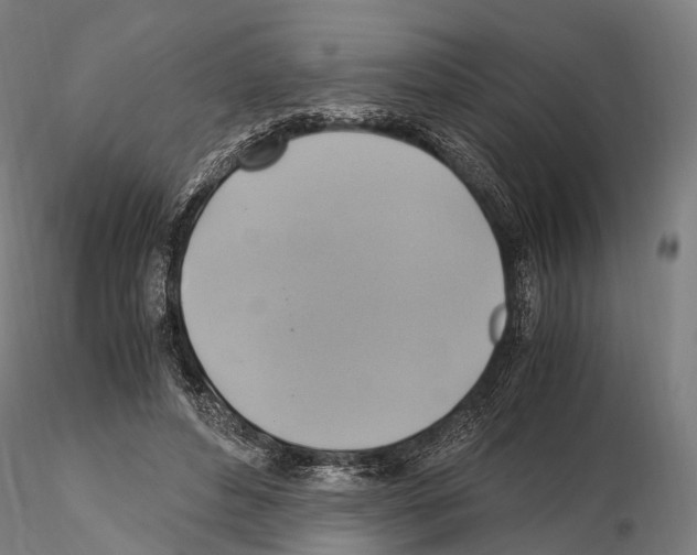 X0000114700496200912021111