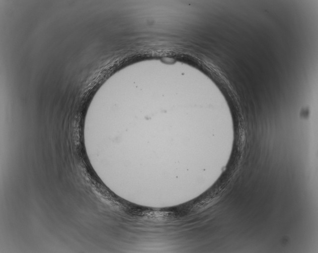 X0000114700497200912021111