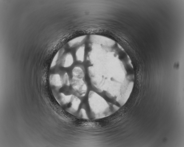 X0000114700499200912021111