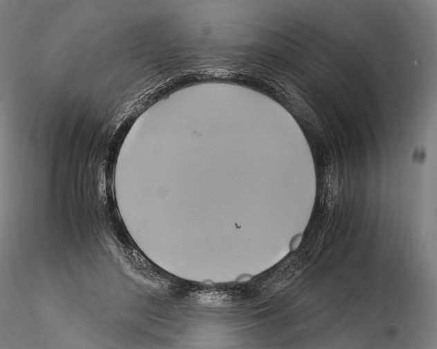 X0000114700500200912021111