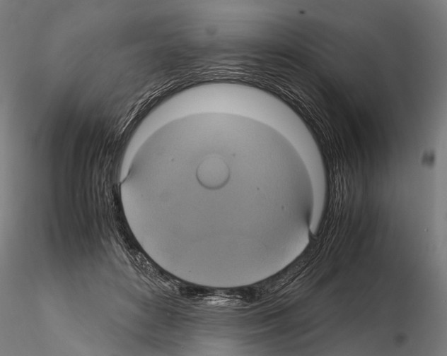 X0000114700504200912021111