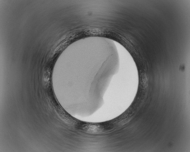 X0000114700507200912021111