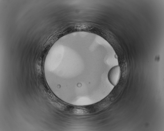 X0000114700510200912021111