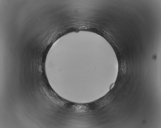 X0000114700512200912021111