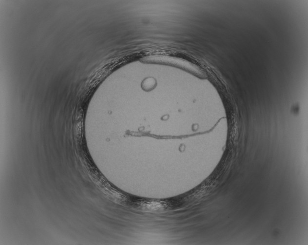 X0000114700513200912021111