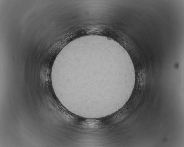 X0000114700514200912021111