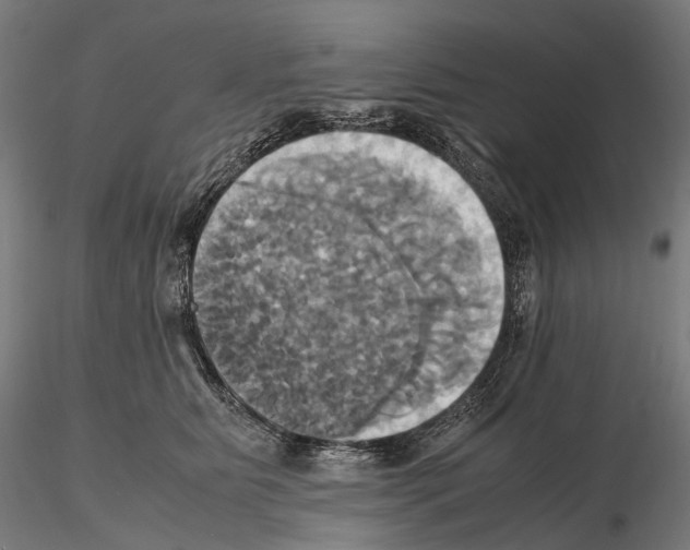 X0000114700515200912021111